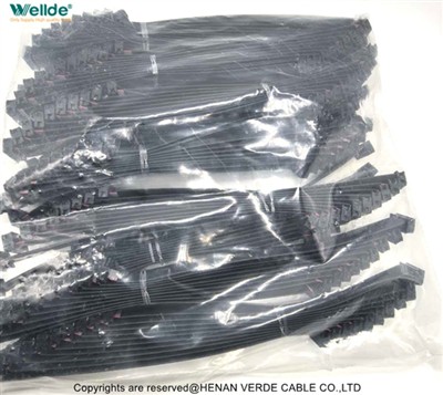 Rov pib ua haujlwm tom qab lub caij nplooj ntoos hlav Festival kom ntseeg tau...